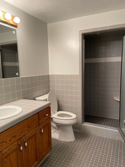 basement bathroom - 9261 S Shad Ln