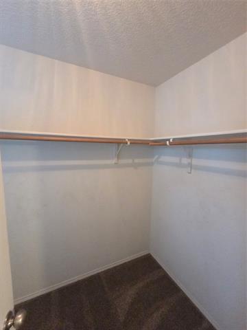 Building Photo - 8138 Mossberg Dr
