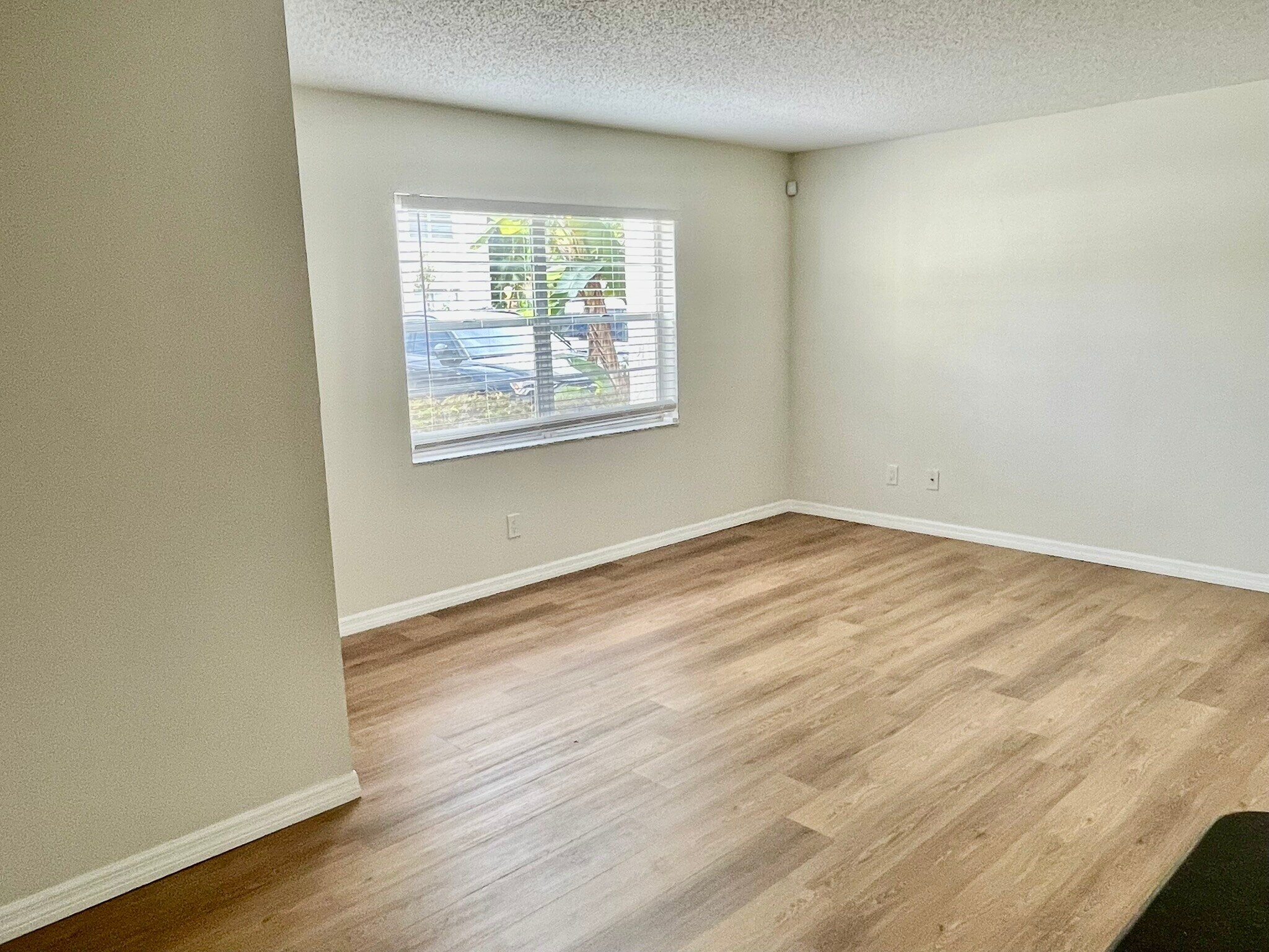 Living Room - 304 S Habana Ave
