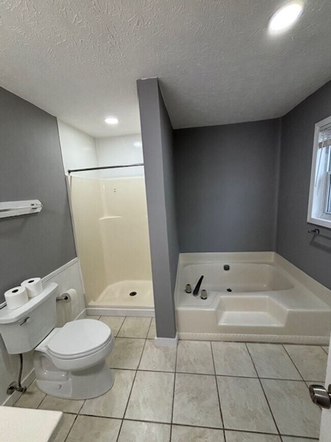 Building Photo - Updated Remodeled Large Open Split-Level Home with Full Finished Basement!