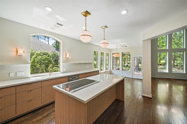 Building Photo - 38 N Castlegreen Cir