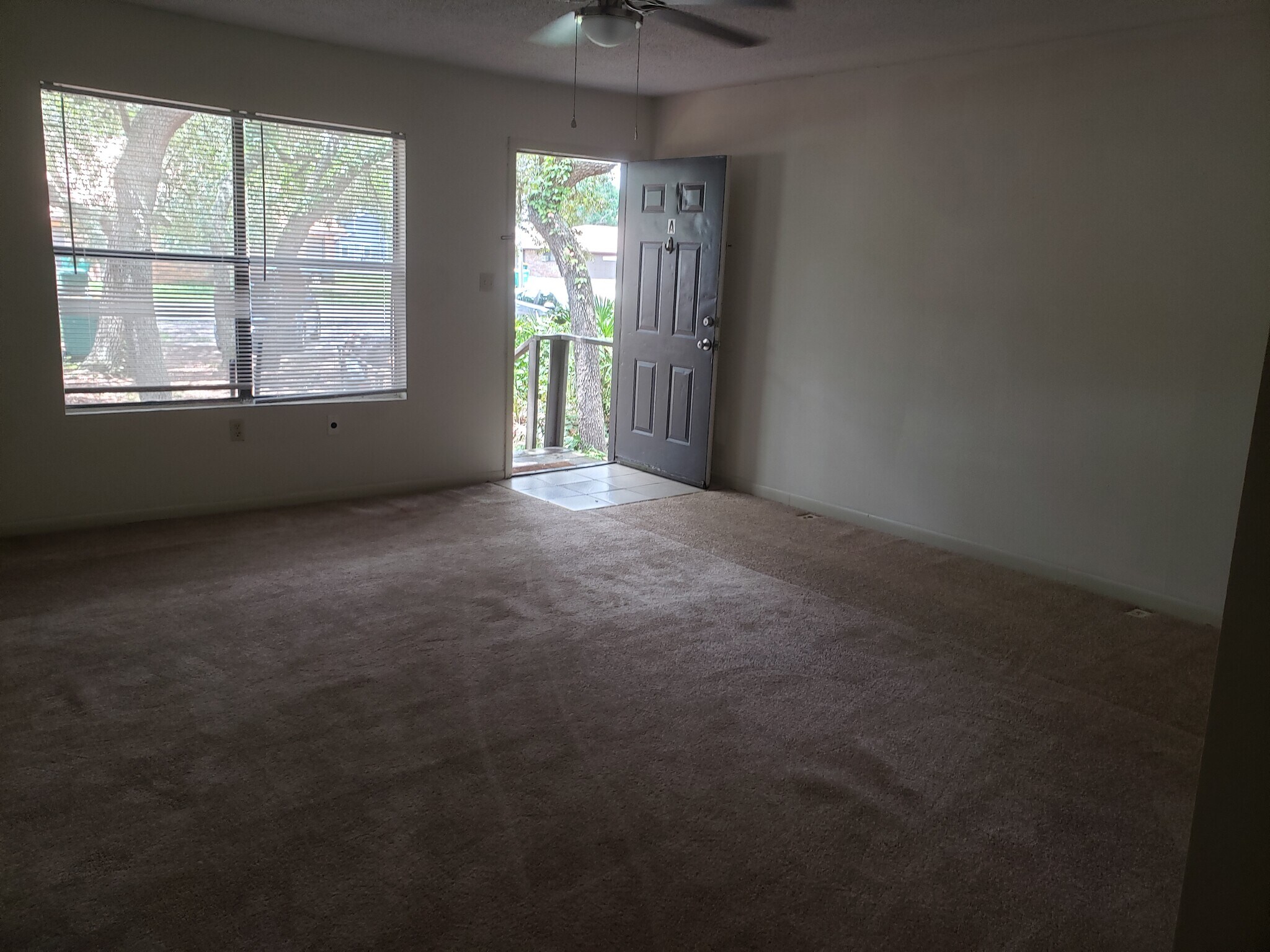 Living room looking out the front door - 32A 5th St