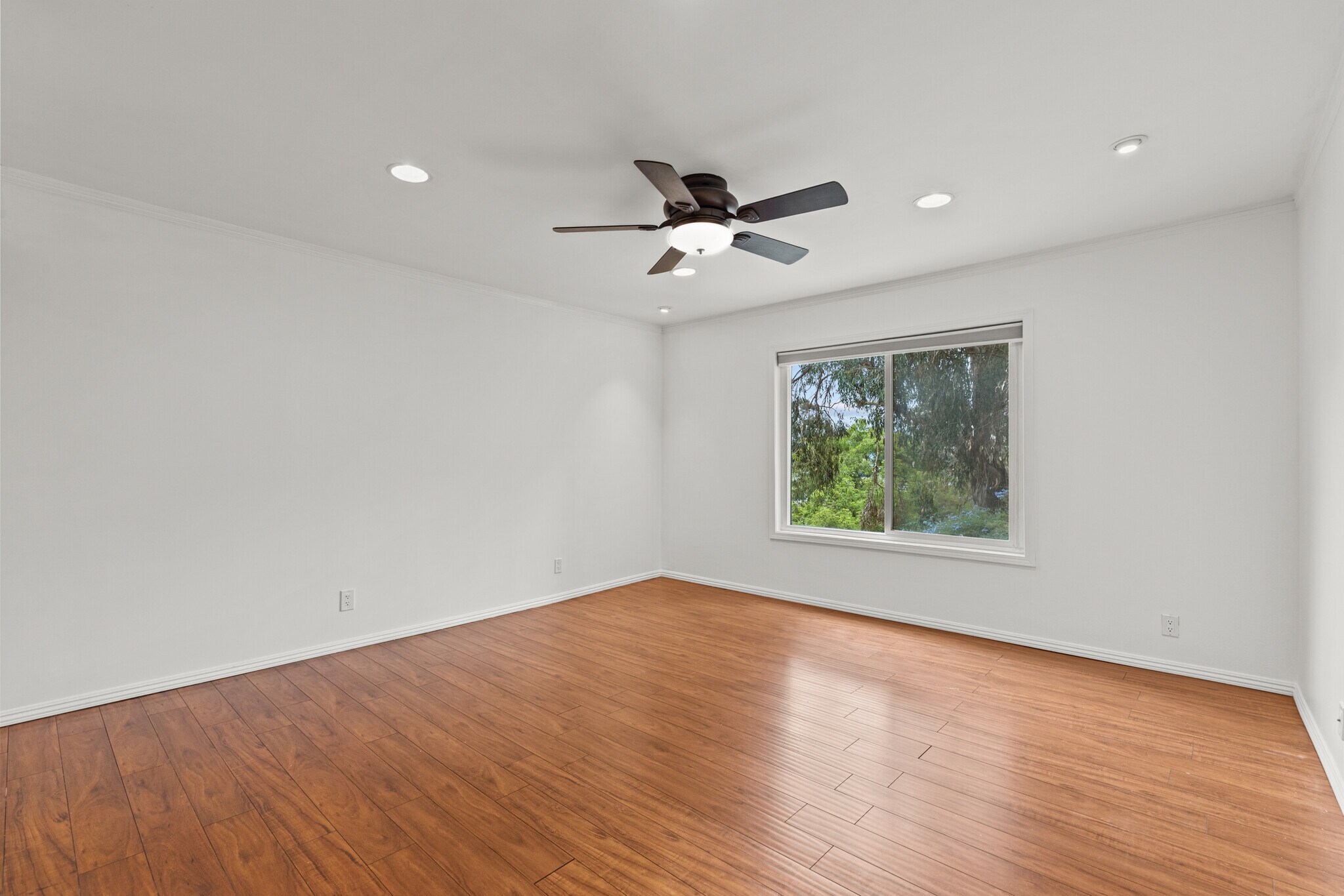 Living Room - 2354 Fletcher Dr