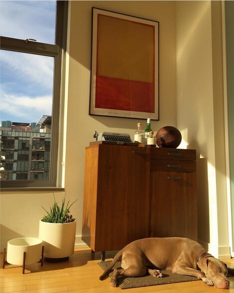 Living room area (napping puppy not included) - 801 S Grand Ave