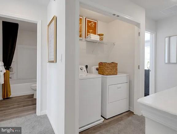 Building Photo - 8328 Alexander Ct