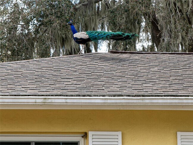 Building Photo - 907 Hillside Terrace