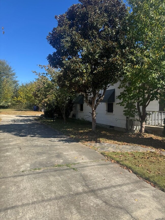 Building Photo - Downtown Greenville Home with a large fenc...