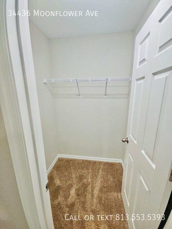 Building Photo - 34436 Moonflower Ave