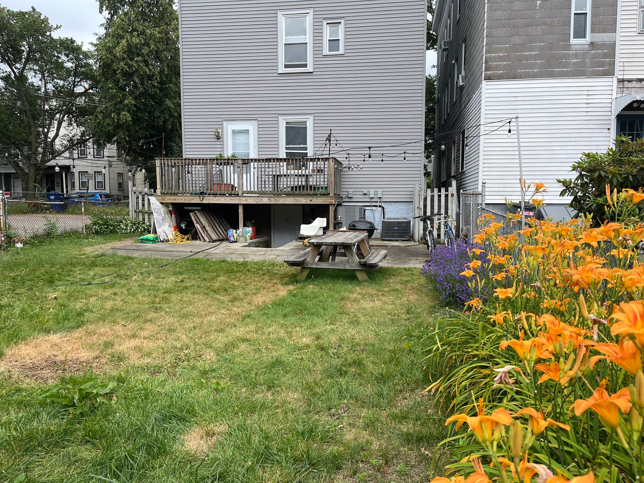 Backyard view to building - 17 Hardwick St