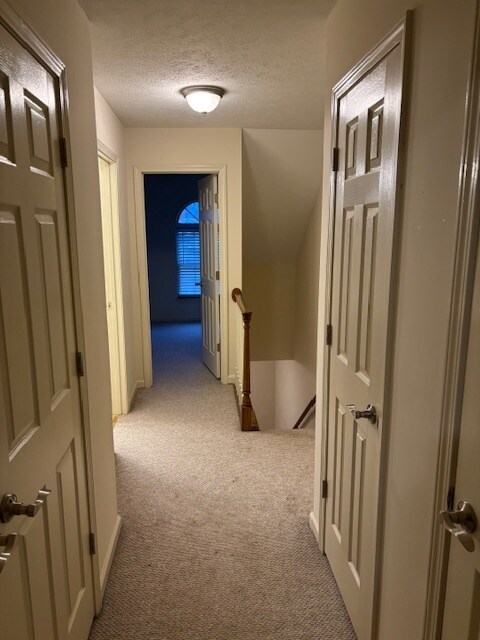 Building Photo - 1146 Northwood Loop