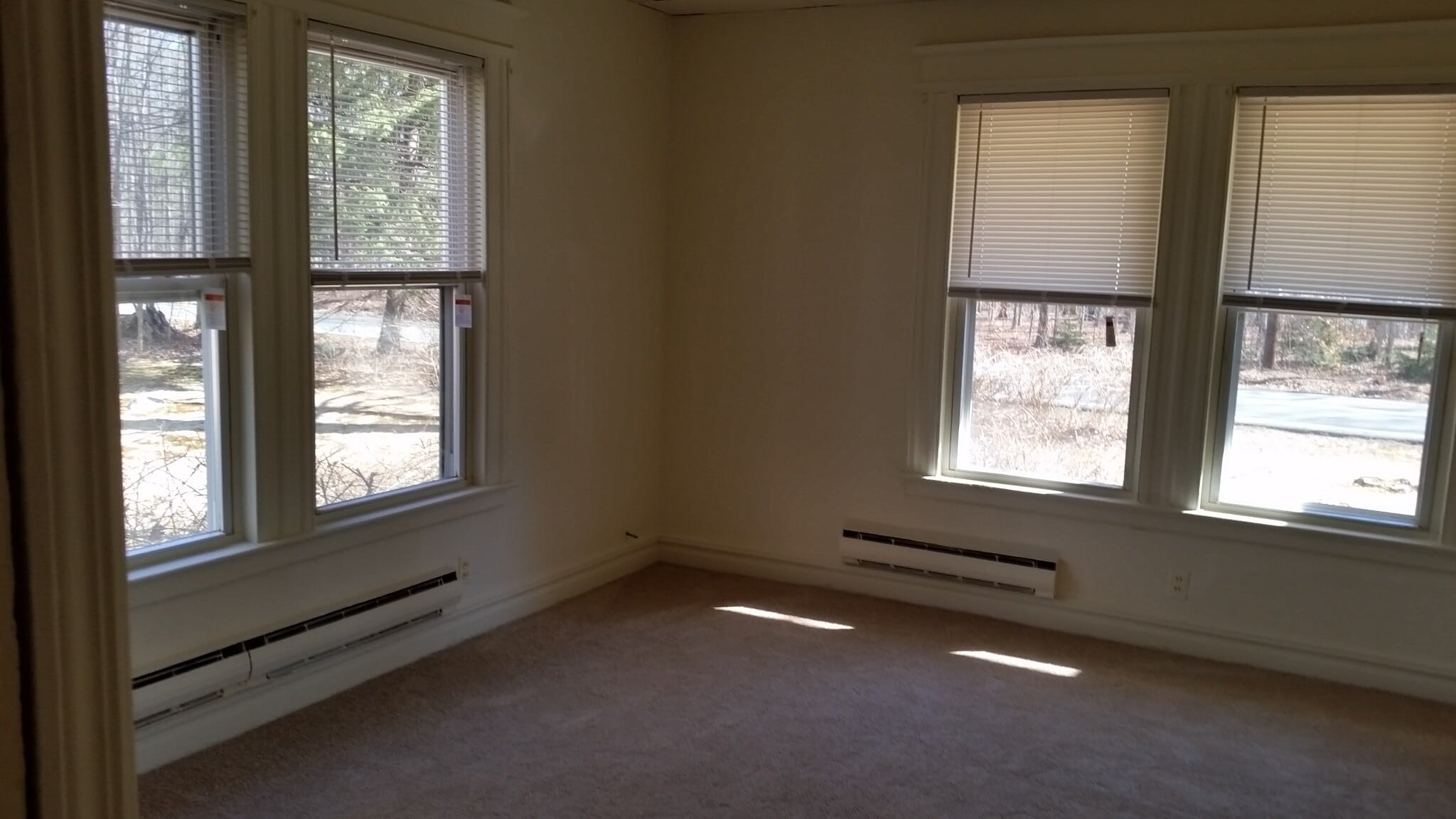 Awesome natural light - 121 Cozy Lake Rd