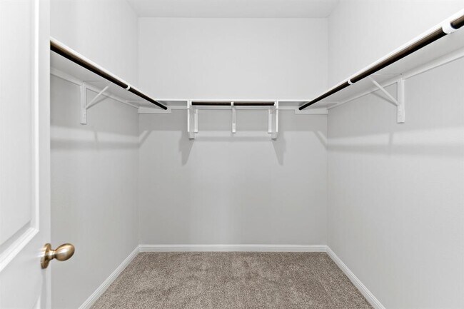 Building Photo - 100 Elm Br Trl