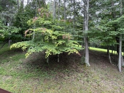 Building Photo - 163 Rocky Hollow