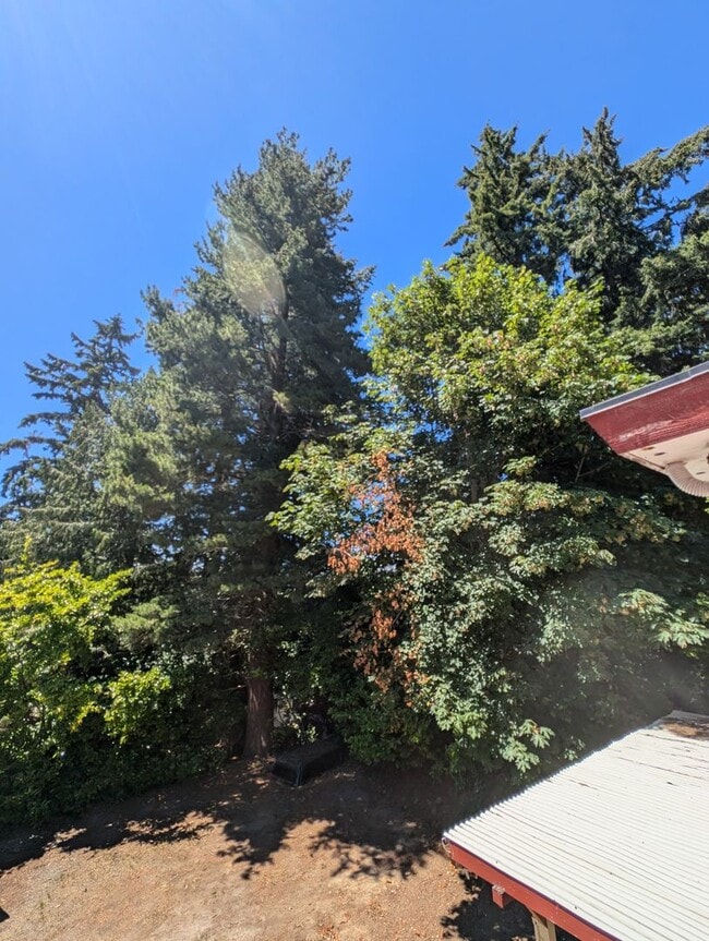Building Photo - A Quarky Bremerton Original! Tons of Space...