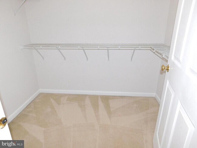 Building Photo - 25207 Bald Eagle Terrace