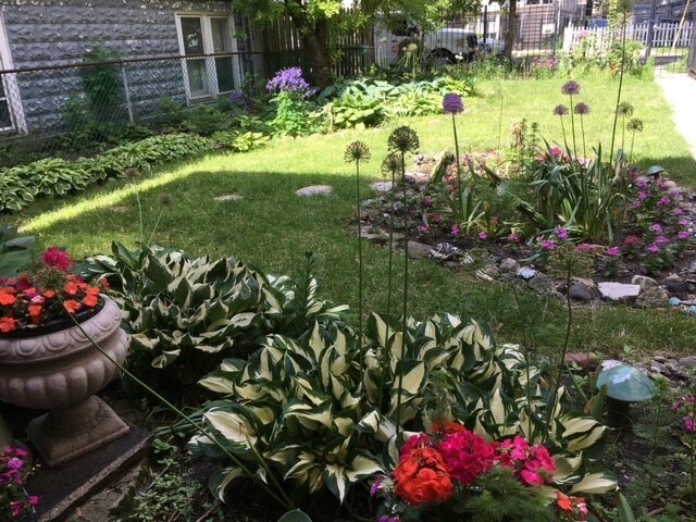 Front yard - 1655 N Francisco Ave