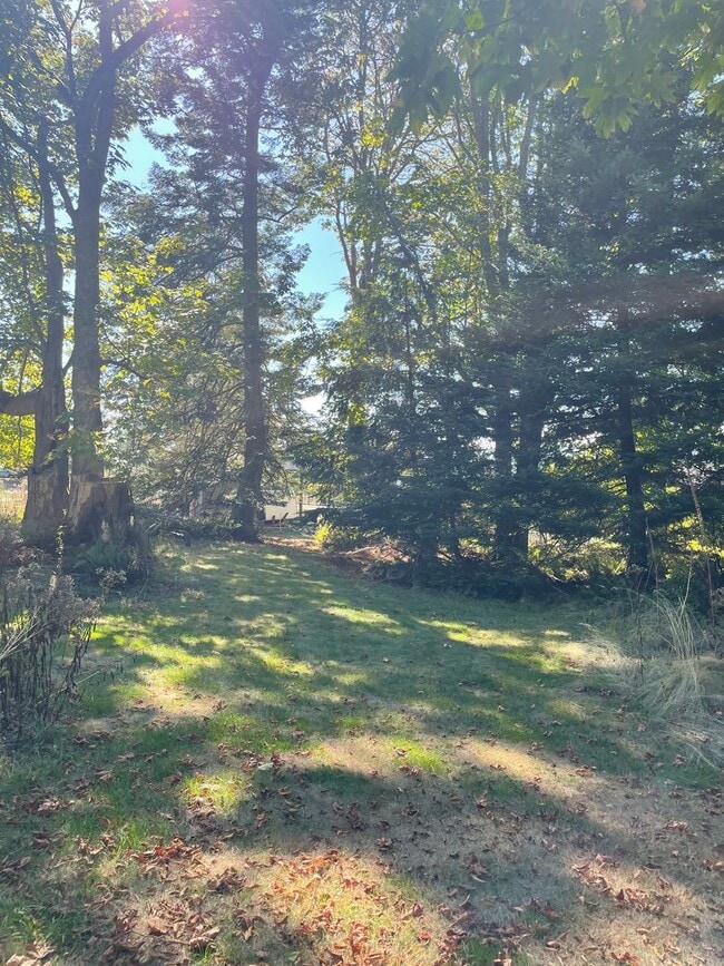 Building Photo - Newer Double Bluff Home In The Woods!