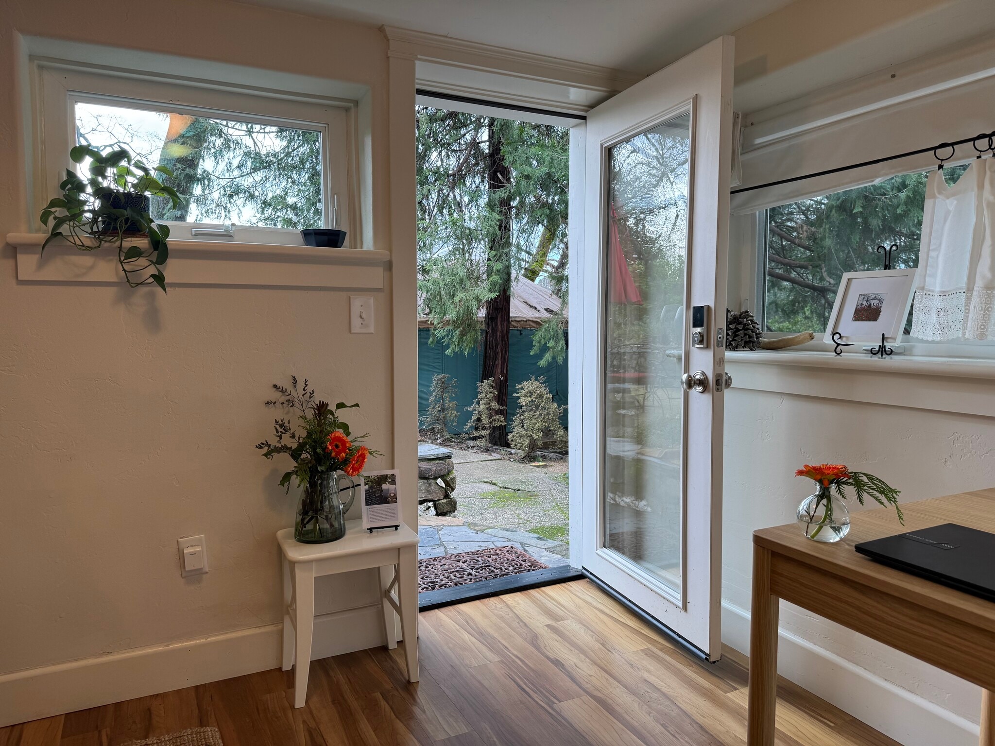 View out of The Hideaway - 165 Terrace St