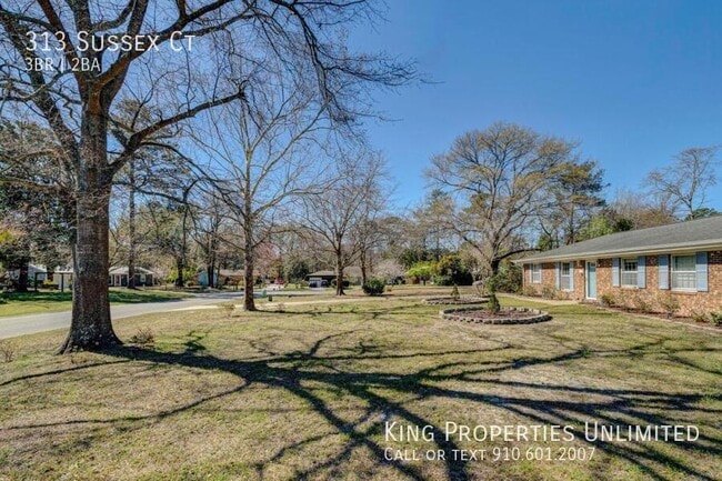 Building Photo - 313 Sussex Ct