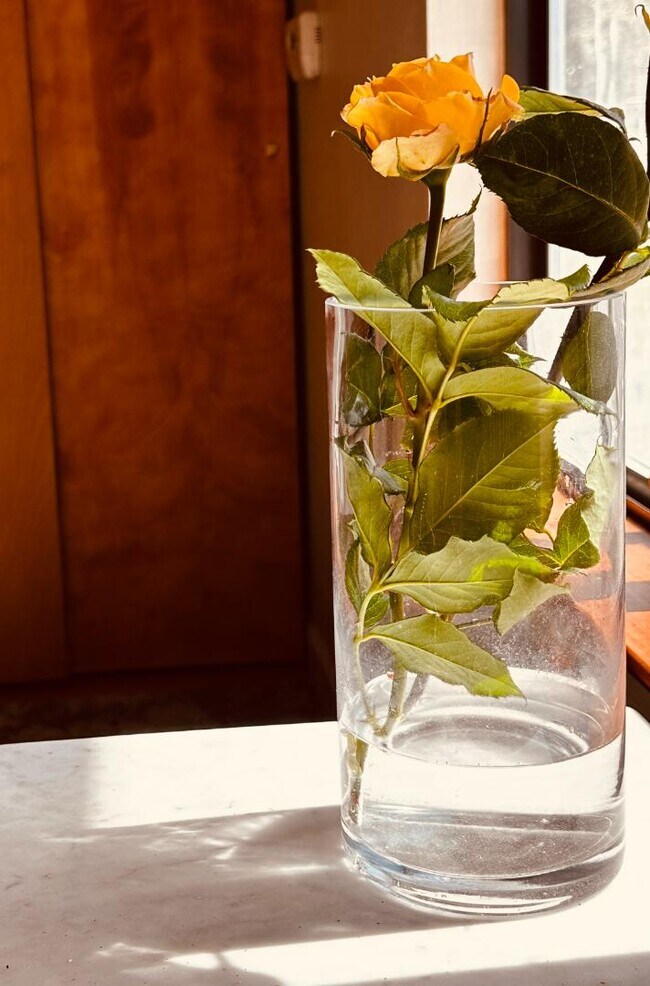 Building Photo - 327 Woodland Park