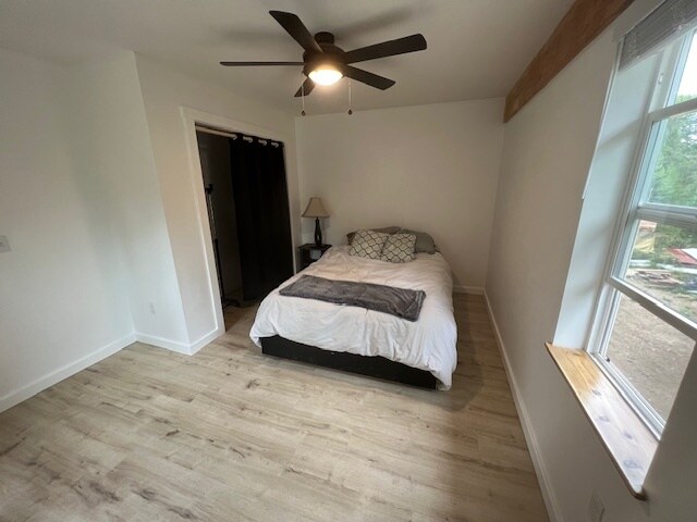 Building Photo - 107 Deep Timber Dr