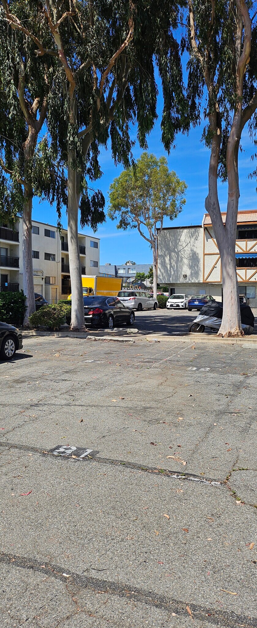 Building Photo - 18530 Hatteras St