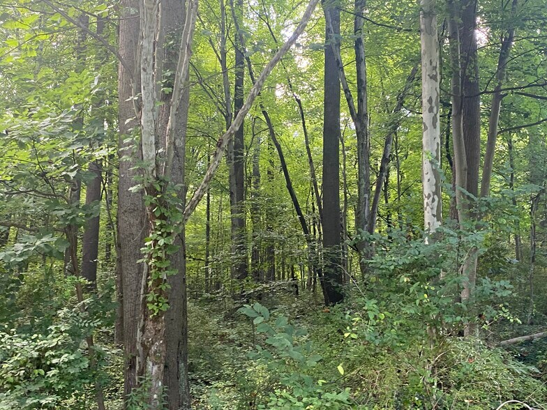 Walking/ running trails within 5 block - 817 Elysian Ave