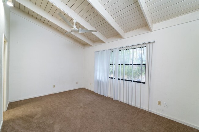 Building Photo - 1349 Rumba Ln