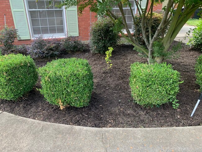 Building Photo - 719 Dodd Dr