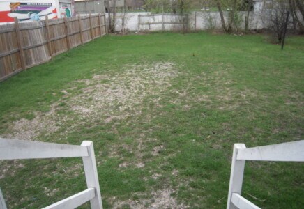 Building Photo - 117 S Homer St