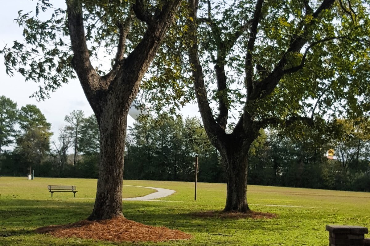 Building Photo - 207 Shalako Ln