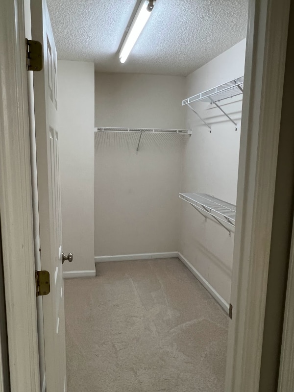 Building Photo - 13217 Marrywood Ct