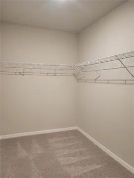 Building Photo - 3079 Bella Vista Dr