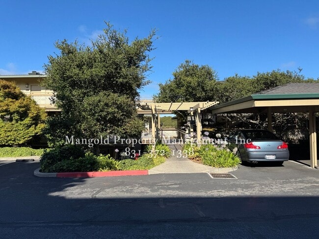 Primary Photo - Spacious 2-Bed, 2-Bath Condo with Fireplac...