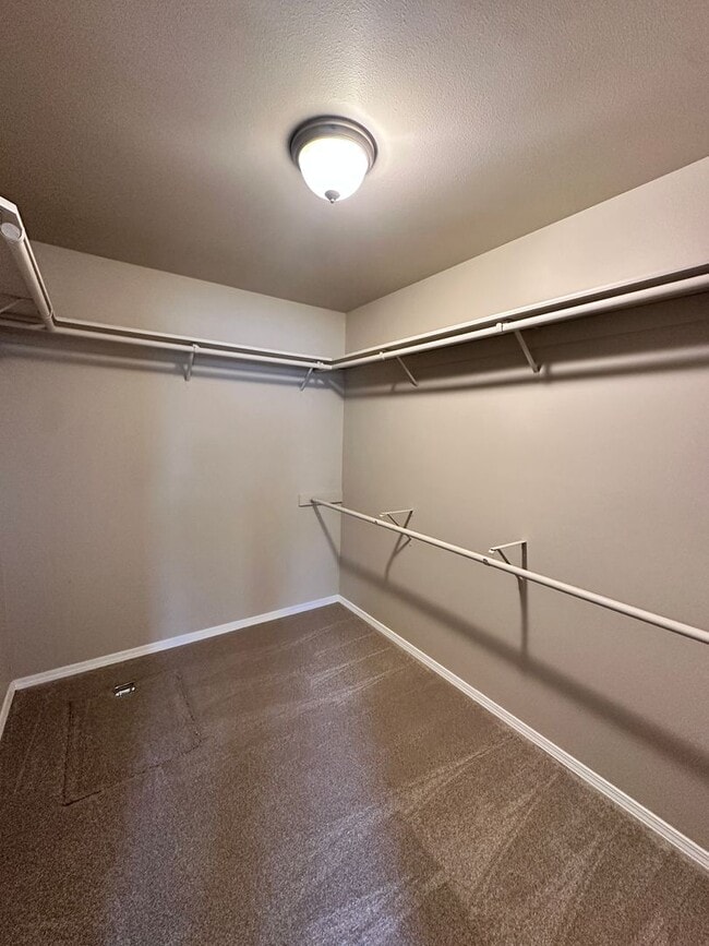 Building Photo - Gorgeous 3 Bedroom 2 Bath Home in Hayden!