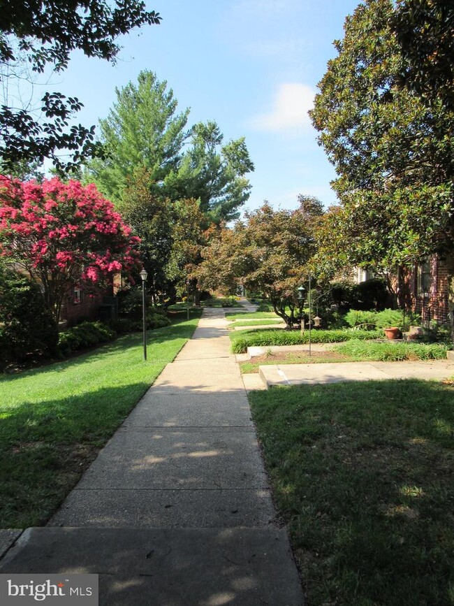 Primary Photo - 5906 Westchester Park Dr