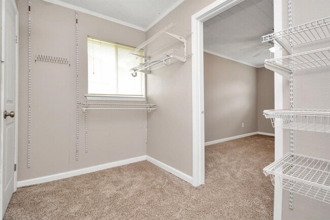 Building Photo - 12207 Flushing Meadows Dr