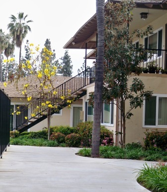 Building Photo - Palm Garden Apartments