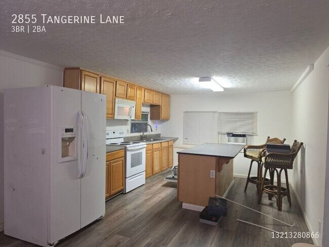 Building Photo - 2855 Tangerine Ln