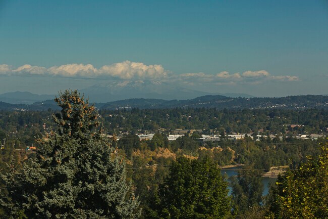 View of Mt. Hood from the kitchen - 4118 SW View Point Ter