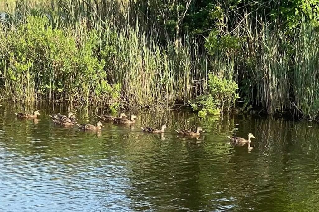 Building Photo - 30381 Crowley Dr