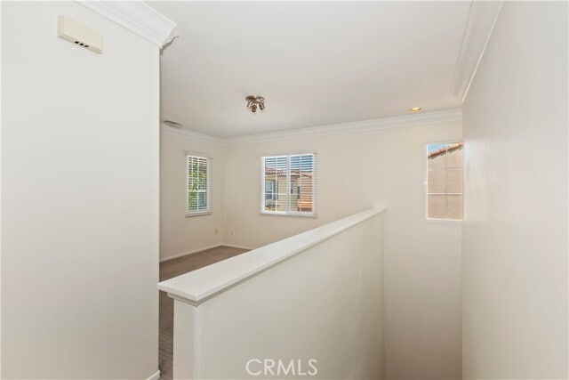 Building Photo - 57 Alevera St
