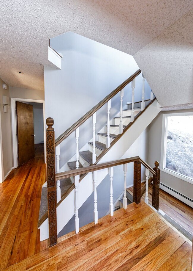 Building Photo - Palmer Park 3 bedroom