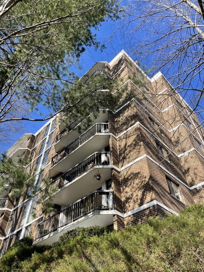 Private balcony among the tress in urban neighborhood - 1401 N Rhodes St