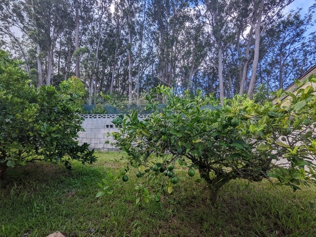Building Photo - Country living in the City - Huge bonus room, entertainment deck, covered lanai and lots of storage.