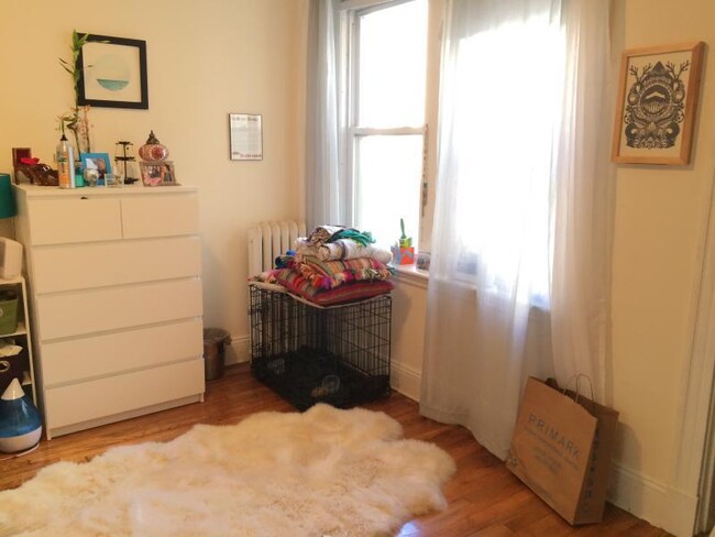 Building Photo - 1 bedroom in Boston MA 02215