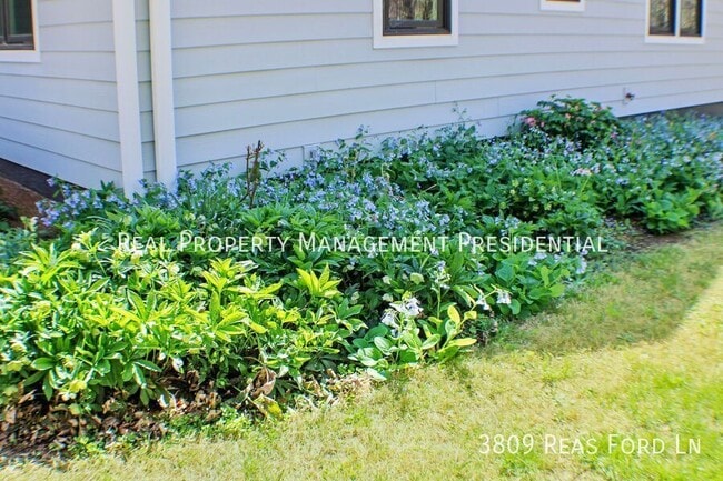 Building Photo - 3809 Reas Ford Ln