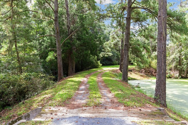 Building Photo - Gorgeous Furnished Estate on the Ashley River