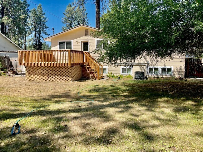 Building Photo - New on the Market!