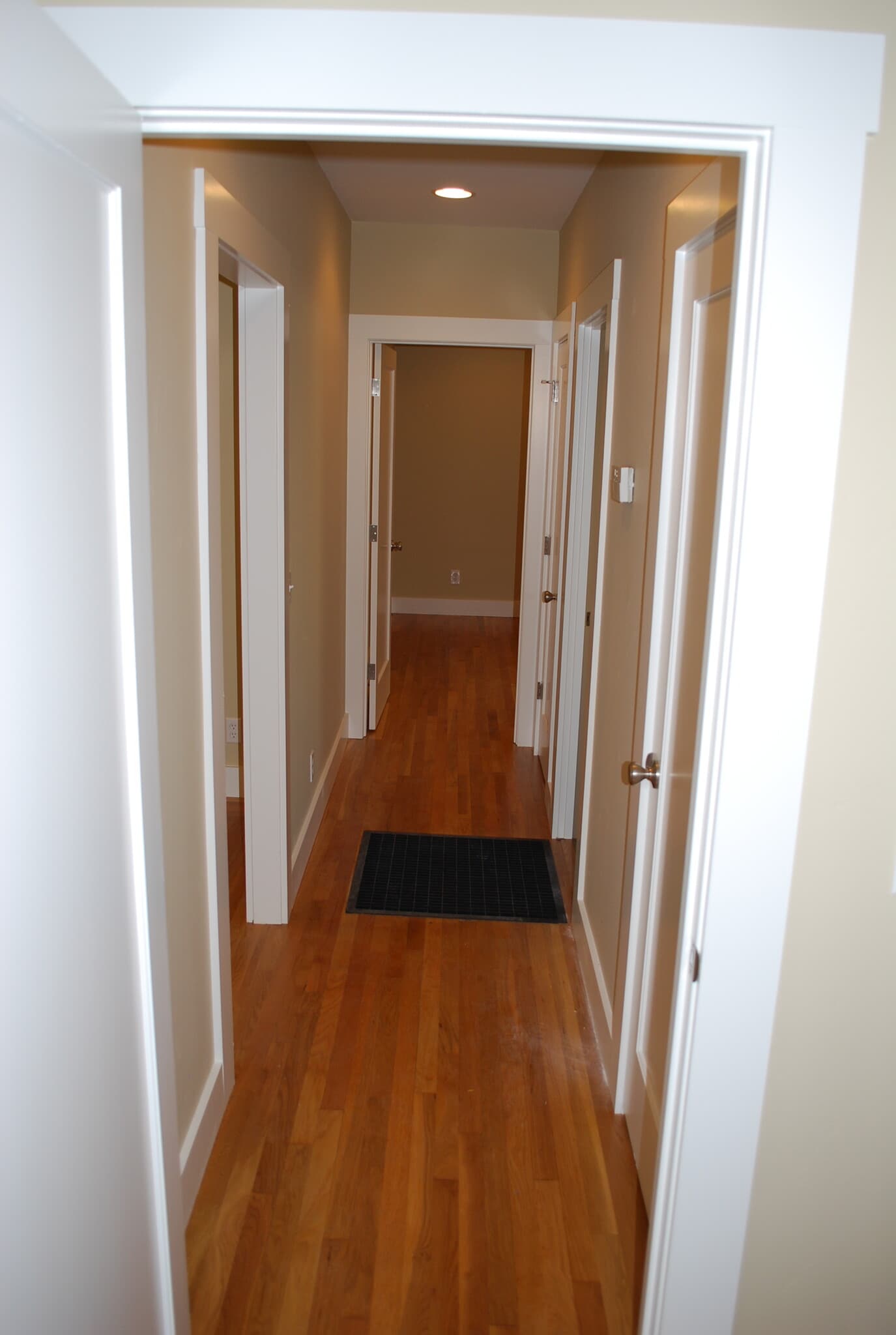 Hallway - 869 Harding Ave